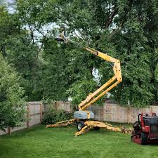 Best Tree Maintenance Programs  in Yonkers, NY
