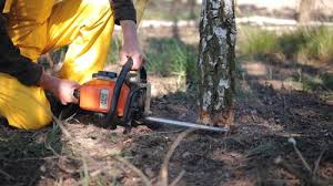 Best Lawn Irrigation Installation and Maintenance  in Yonkers, NY