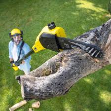 Artificial Turf Installation in Yonkers, NY