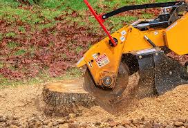Best Utility Line Clearance  in Yonkers, NY
