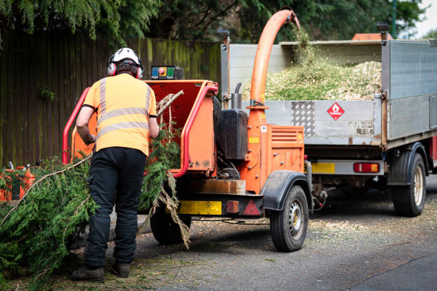 Mulching Services in Yonkers, NY