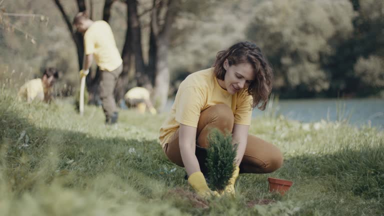 Best Pest Control for Lawns  in Yonkers, NY