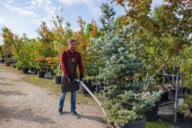 Best Tree and Shrub Care  in Yonkers, NY