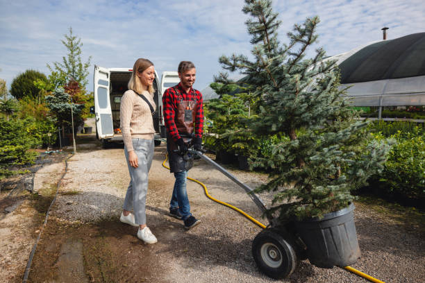 Best Tree Removal  in Yonkers, NY