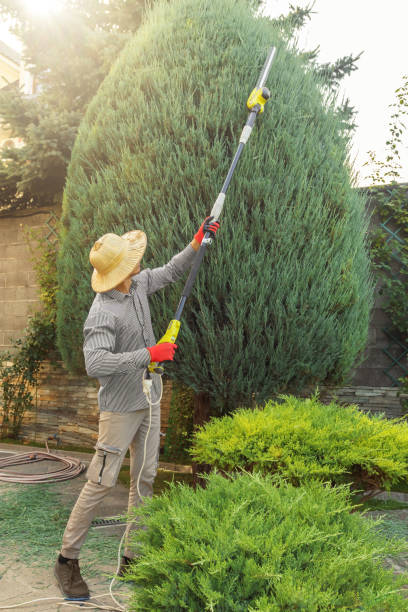 Best Storm Damage Tree Cleanup  in Yonkers, NY